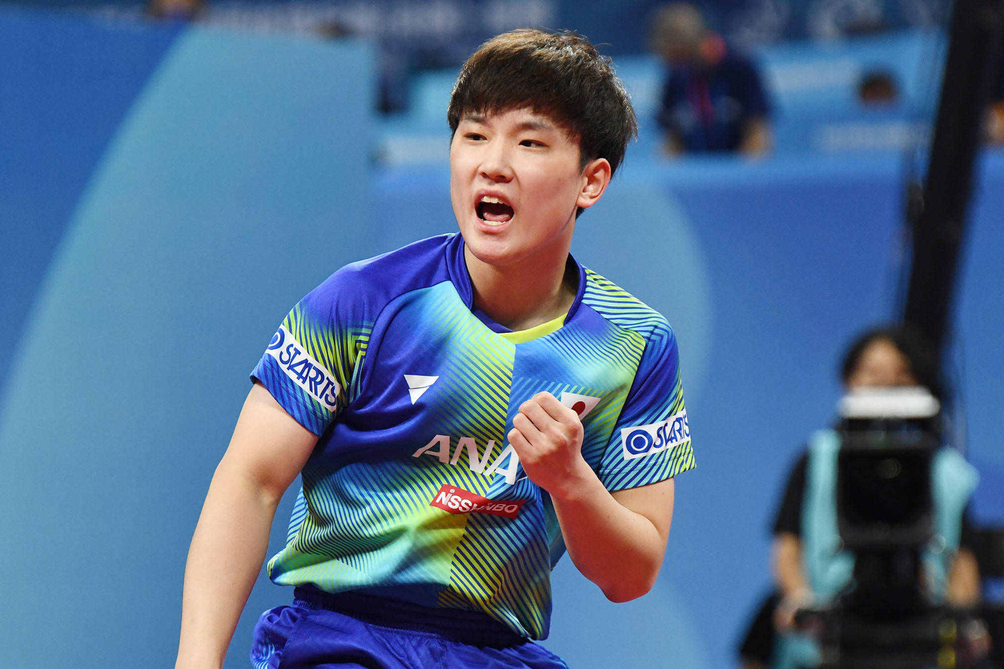 每年引进2 每年引进2