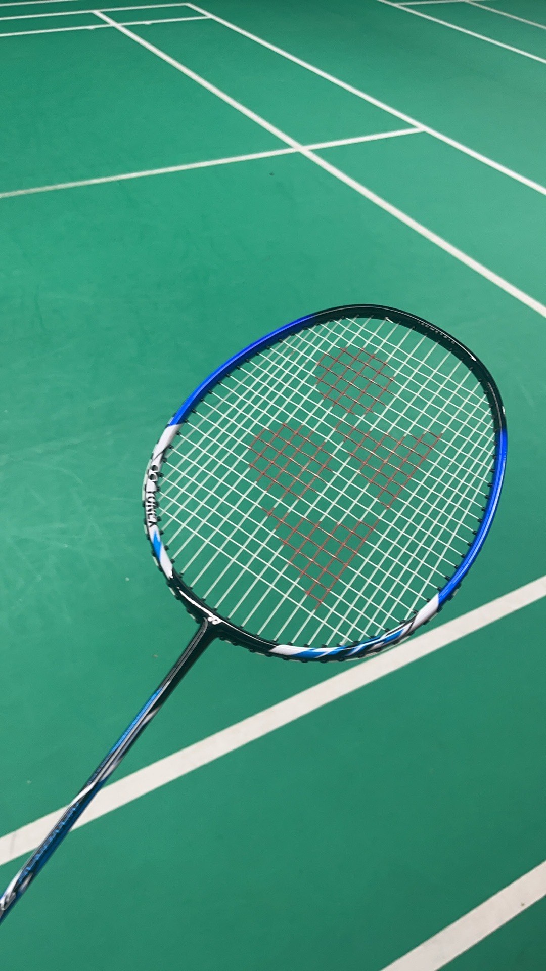 的程序化生 的程序化生