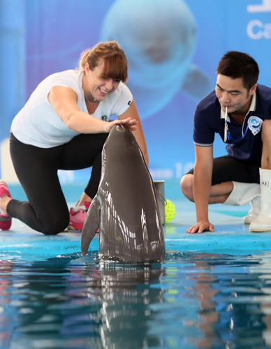 I增强理解 I增强理解